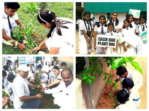 sfxhs tree planting with students