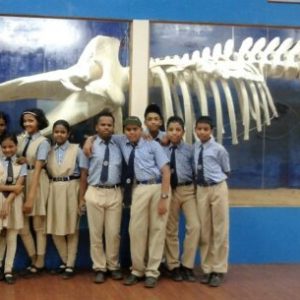 Museum Visit - St Francis Xaviers High School